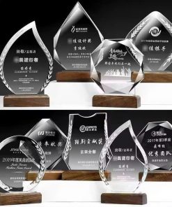 Biểu chưng pha lê (5)