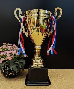 C315 Cup Bát 3 Vạch Thân Trơn Cup Kim Loại ( 45cm )