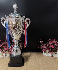 C363 A - B - C Bạc Cup Vân Chéo Cong Cup Bộ Vàng Bạc Kim Loại ( 51cm - 56cm - 64cm )