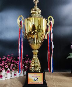 C377 A - B - C Cup Vân Hoa Đại Cup Bộ Size Lớn Kim Loại ( 59cm - 67cm - 75cm )