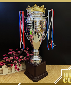 C356 Cup Ngoại Hạng Cup Bạc Size Lớn Kim Loại	( 60cm )