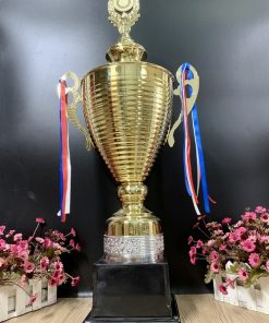C355 Cup Thân Kẻ Ngang Cup Size Lớn Kim Loại	( 75cm )