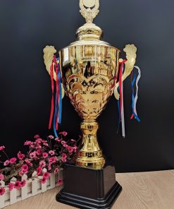 C351 BigSize Vân Sóng Cup Size Lớn Kim Loại ( 80cm )