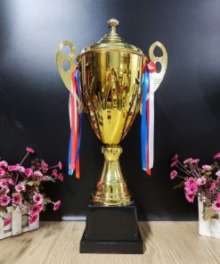 C415 C Vân 3 Lá Có Nắp Cup Kim Loại ( 42cm )