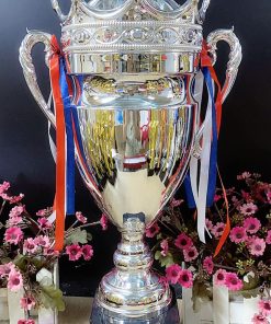 C393 Bạc Cup Vua Cup Bộ Size Lớn Kim Loại	( 52cm )