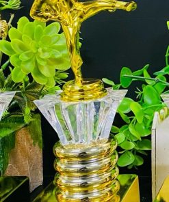 C455 Võ kim cương Đế vàng