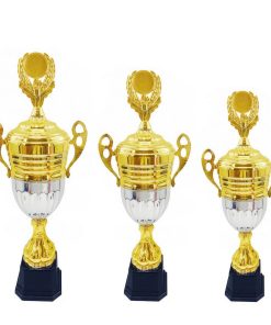 C465 Cup Vàng Thân Bạc A 47CM - 53CM - 60CM