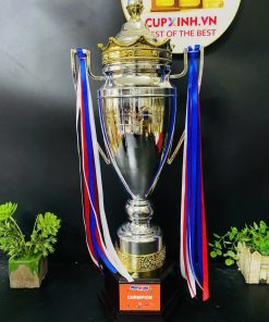 C414 Cup Bạc Bigsize Vương Miện Chóp Trắng ( 71cm )
