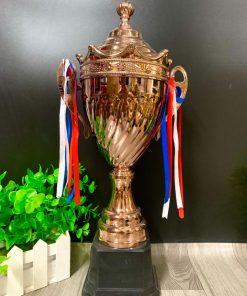 C432 Đồng Thân Xoắn Vương Miện Chóp Tròn Cup Bộ Vàng Bạc Đồng Size Lớn Kim Loại ( 54cm )